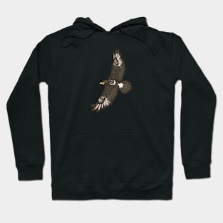 Verreaux's Eagle Hoodie